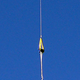 Illustration for article titled Ordinary Guys Send Picture-Taking Balloon 22.27 Miles High